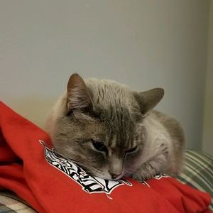 Meet your Posher, Misty